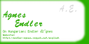 agnes endler business card